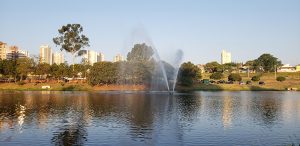 O Córrego Barnabé, no Parque Ecológico, é uma das fontes do sistema de abastecimento de água de Indaiatuba (Foto: Patrícia Lisboa/Blog da Pimenta/Direitos Reservados)