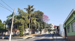 A terça-feira é de sol e céu claro em Indaiatuba (Foto: Patricia Lisboa/Dropes/Direitos Reservados)