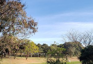 O tempo permanece estável, com sol e temperaturas baixas em Indaiatuba nesta quarta (Foto: Patrícia Lisboa/Dropes/Direitos Reservados)