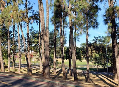 tempo segue estável, com sol e poucas nuvens em Indaiatuba nesta quinta (Foto: Patrícia Lisboa/Dropes/Direitos Reservados)