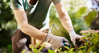 Sebrae Aqui abre curso para formação de Jardineiro Profissional