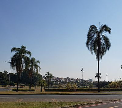 O sol predomina nesta segunda em Indaiatuba (Foto: Patrícia Lisboa/Dropes)