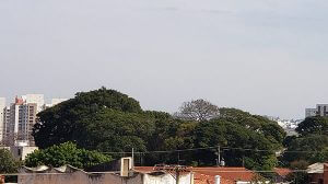 umentam as nuvens nesta quinta, em Indaiatuba, mas não chove (Foto: Patrícia Lisboa/Dropes)
