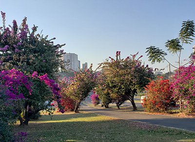 A sexta é de sol e poucas nuvens em Indaiatuba (Foto: Patrícia Lisboa/Dropes)