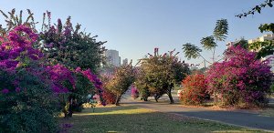 Trecho do relógio de sol se destaca pelo paisagismo (Foto: Patrícia Lisboa/Dropes/Direitos Reservados)