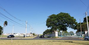 O tempo fica estável nesta quinta em Indaiatuba (Foto: Patrícia Lisboa/Dropes/Direitos Reservados)