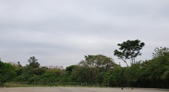 BOLETIM DO TEMPO: Terça-feira, 5 de outubro de 2021