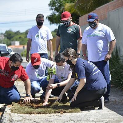 Projeto já atendeu dois bairros com o plantio de 168 mudas (Foto: Arquivo/Eliandro Figueira/RIC/PMI)