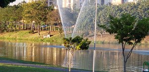 Córrego do Barnabé tem 11 quilômetros de extensão ao longo do Parque Ecológico (Foto: Patrícia Lisboa/Dropes)