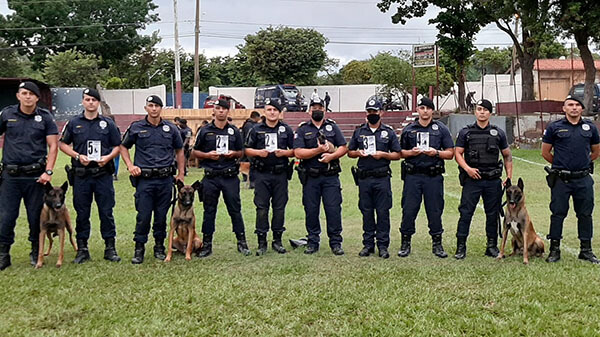 Canil da Guarda Civil de Indaiatuba participa do 12º Campeonato Nacional de Cães de Polícia (Foto: Eduardo Turati/ SCOMSOC/GCI)