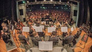 Sob regência do maestro João Carlos Martins, concerto acontece no Parque Ecológico (Foto: Everton Amaro/Fiesp)