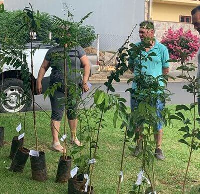 Jardim Esplanada 1 já foi contemplado com o plantio de mudas de árvores (Foto: RIC/PMI)