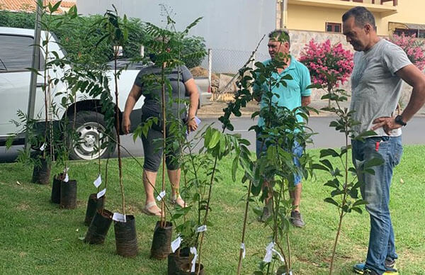 Jardim Esplanada 1 já foi contemplado com o plantio de mudas de árvores (Foto: RIC/PMI)