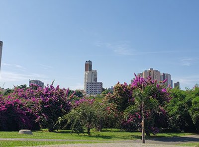 O sol predomina na manhã desta quarta em Indaiatuba (Foto: Patrícia Lisboa/Dropes)