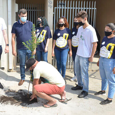 Plantio das mudas será feito no sábado pela manhã (Foto: Arquivo/ Eliandro Figueira/RIC/PMI)