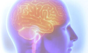 O esgotamento mental pode saturar o córtex cerebral e provocar prejuízos na memória (Foto: Tânia Rego/Agência Brasil)
