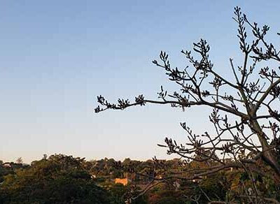 Massa de ar seco deixa tempo estável, sem nuvens, nesta terça em Indaiatuba (Foto: Patrícia Lisboa/Dropes)