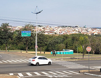 Observação de aves será no trecho da alça de acesso à Prefeitura (Foto: Patrícia Lisboa/Dropes)