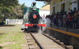 Locomotiva D. Pedro II do Museu Ferroviário de Indaiatuba (Foto: Patrícia Lisboa/Dropes)