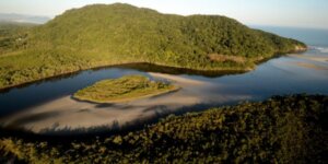 O Plano de Ação Climática busca implementar medidas para equilibrar desenvolvimento econômico e preservação ambiental (Foto: Governo de SP)