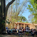 Projeto Jardim das Letras acontece no Bosque do Casarão Pau Preto (Foto: Patrícia Lisboa/Dropes)