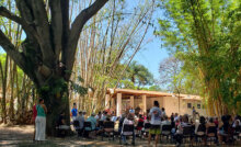 Projeto Jardim das Letras acontece no Bosque do Casarão Pau Preto (Foto: Patrícia Lisboa/Dropes)