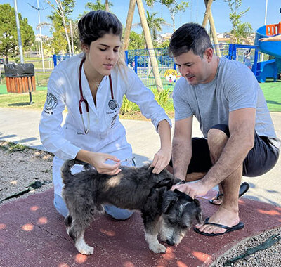 No último sábado, 667 pets foram imunizados contra a raiva (Foto: Eliandro Figueira/RIC/PMI)