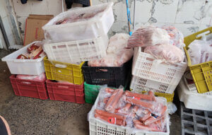 Vigilância Sanitária e Polícia Civil apreendem 934 quilos de carnes sem procedência (Foto: Divulgação/RIC/PMI)