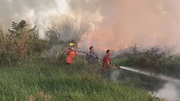 Defesa Civil alerta para o aumento dos focos de incêndio no período de seca (Foto: Divulgação/RIC/PMI)