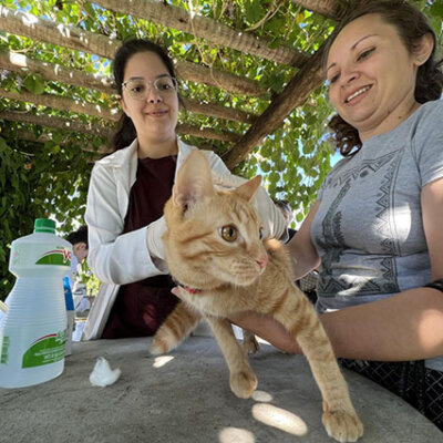 Campanha de vacinação de gatos e cães contra a raiva tem mais uma edição no sábado em Indaiatuba (Foto: Eliandro Figueira/RIC/PMI)