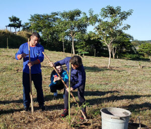 Parque do Mirim recebeu 70 mudas de espécies nativas da Mata Atlântica (Foto: Patrícia Lisboa/Dropes)