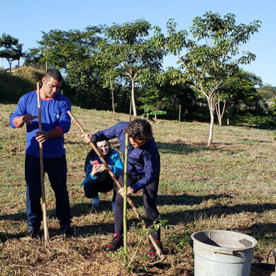 Parque do Mirim recebeu 70 mudas de espécies nativas da Mata Atlântica (Foto: Patrícia Lisboa/Dropes)