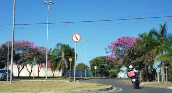 BOLETIM DO TEMPO: 5 de junho de 2023