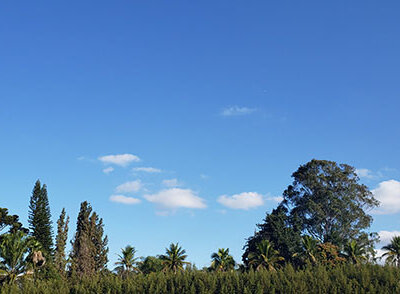 O tempo fica estável, com céu claro a poucas nuvens, em Indaiatuba, desta segunda a quarta-feira (Foto: Patrícia Lisboa/Dropes)