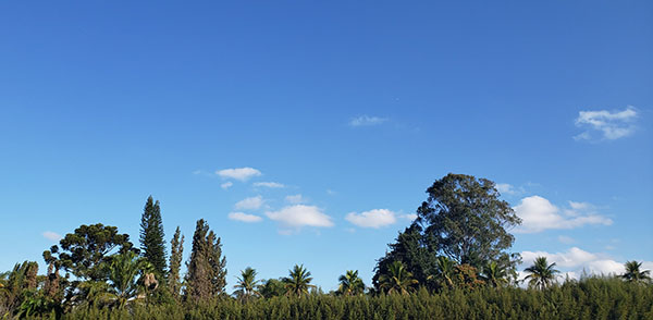 O tempo fica estável, com céu claro a poucas nuvens, em Indaiatuba, desta segunda a quarta-feira (Foto: Patrícia Lisboa/Dropes)