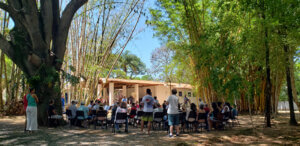 Bosque do Casarão Pau Preto de Indaiatuba (Foto: Arquivo/Patrícia Lisboa/Dropes)