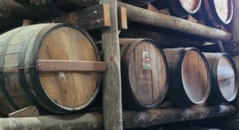 Responsável por 45% da produção nacional, Estado de SP terá 1º concurso estadual de cachaça