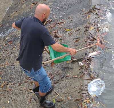 Produto químico provocou a morte de peixes no primeiro lago do Parque Ecológico (Foto: Eliandro Figueira/RIC/PMI)