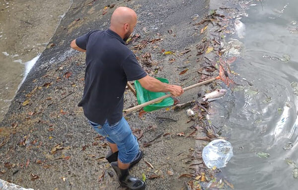 Produto químico provocou a morte de peixes no primeiro lago do Parque Ecológico (Foto: Eliandro Figueira/RIC/PMI)