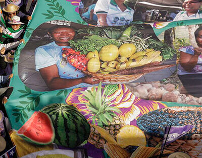 Luta das mulheres no campo (Foto: Joédson Alves/Agência Brasil)