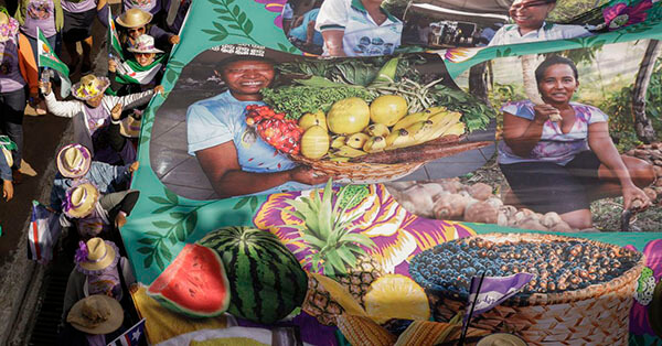 Luta das mulheres no campo (Foto: Joédson Alves/Agência Brasil)