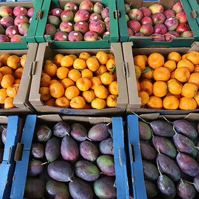 Frutas estão entre as opções de alimentos indicados pelas nutricionistas da Ceasa Campinas (Foto: Arquivo/PMC)