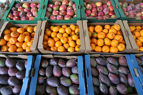 Frutas estão entre as opções de alimentos indicados pelas nutricionistas da Ceasa Campinas (Foto: Arquivo/PMC)