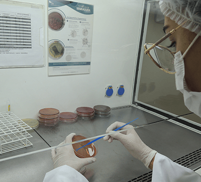Laboratório do Haoc registra aumento de 380% na procura por exame de dengue (Foto: Divulgação/Haoc)