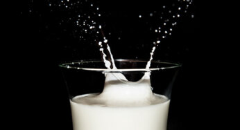 Mais da metade dos brasileiros possuem genes que podem causar a intolerância à lactose