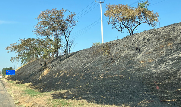 Queimadas às margens de rodovias aumentam 279% no primeiro semestre de 2024 (Foto: Via Colinas)