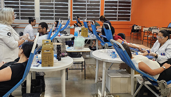 A coleta de sangue acontece uma vez por mês na Fiec (Foto: Julio Monteiro/Fiec)