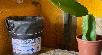 Indaiatuba implanta nova armadilha para controle do mosquito Aedes aegypti, transmissor da dengue, chikungunya e zika