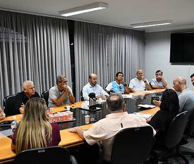 Presidente da Câmara, Túlio Tomass, conduz reunião da secretária de Saúde, Heloisa Salatino, com outros dez vereadores (Foto: Divulgação/Câmara)