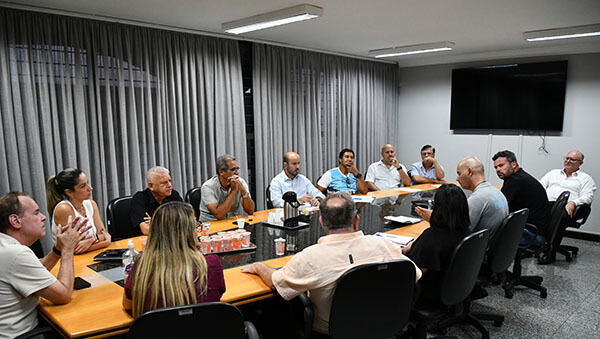 Presidente da Câmara, Túlio Tomass, conduz reunião da secretária de Saúde, Heloisa Salatino, com outros dez vereadores (Foto: Divulgação/Câmara)